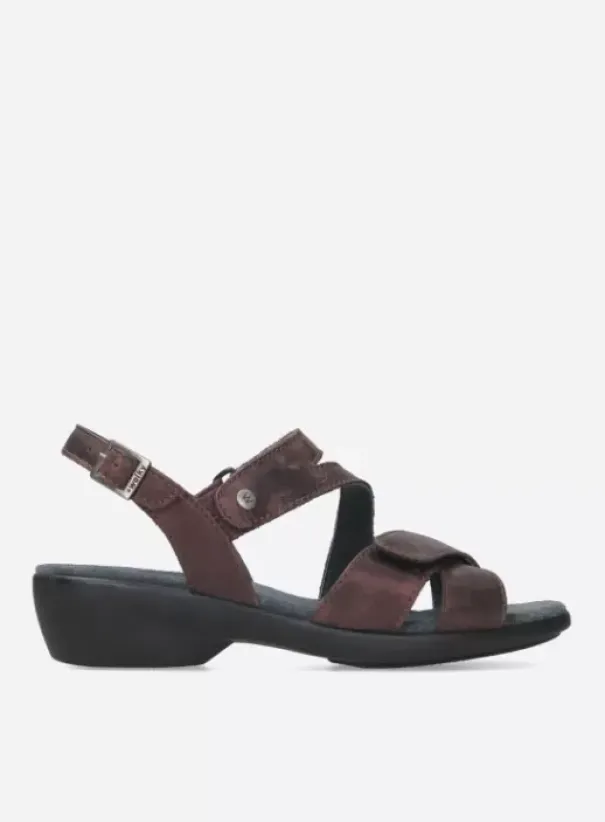 Sandalen|Wolky Fria mokka nubuck
